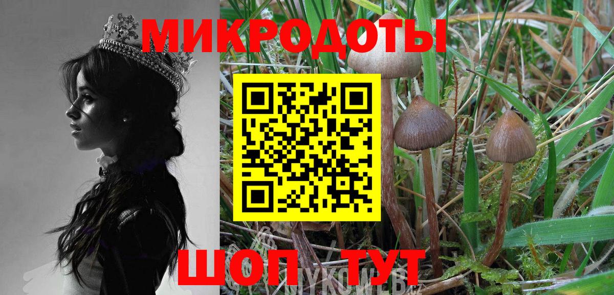 Котлас  Псилоцибиновые грибы прущие грибы  Псилоцибиновые грибы Psilocybine cubensis  Вход с VPN 